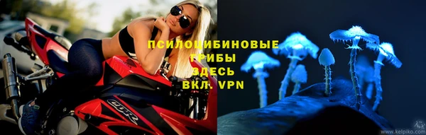 крисы Алексеевка