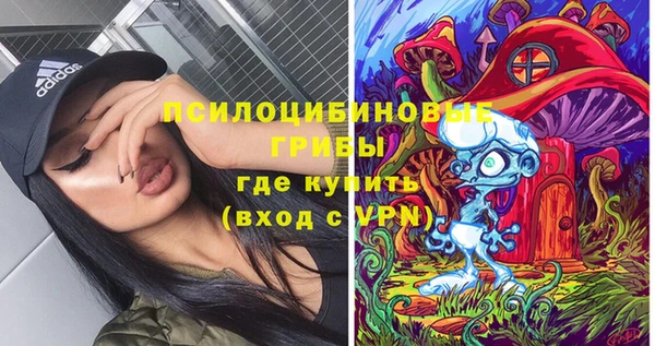 гидра Алзамай