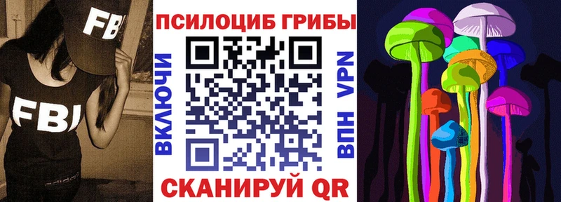 darknet состав Беломорск Галлюциногенные грибы мицелий